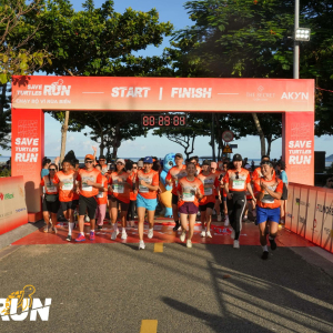 DSC07951